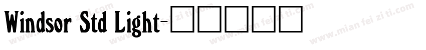 Windsor Std Light字体转换